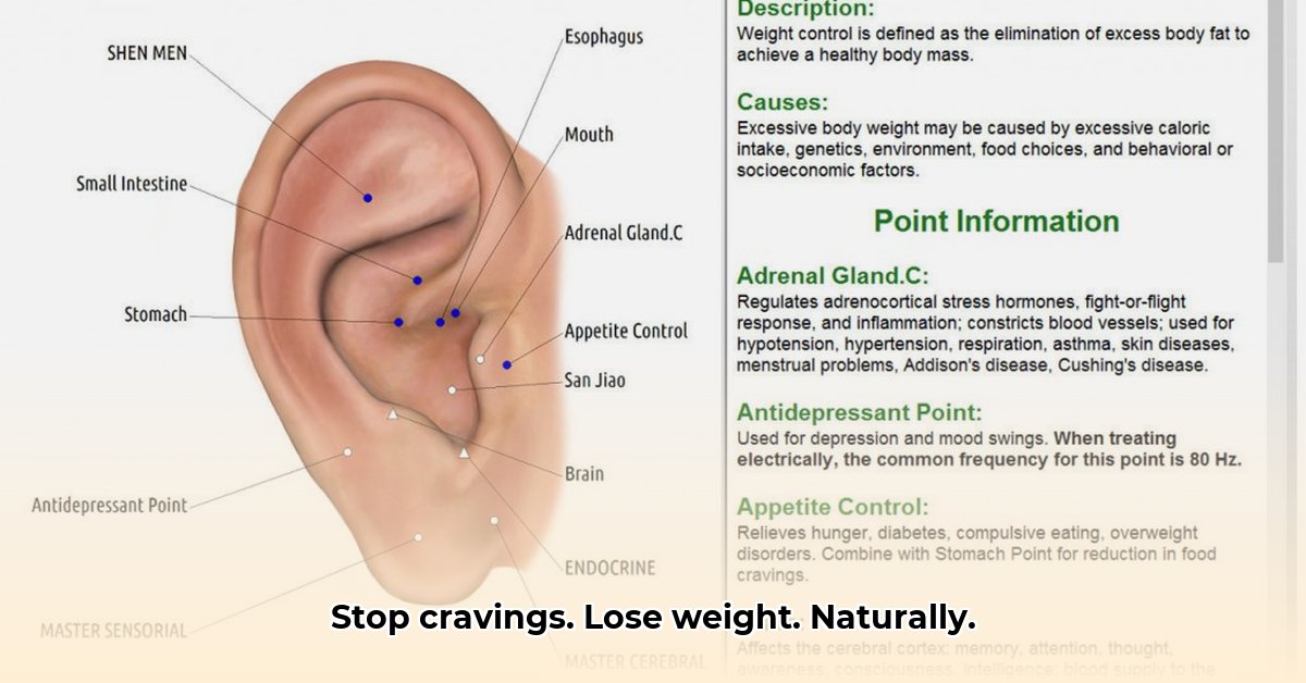 acu-seeds-for-weight-loss